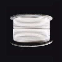Fil plat recouvert de Nomex